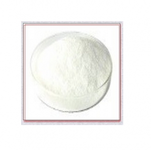 Manufacturers Exporters and Wholesale Suppliers of Papain Crude Powder Surat Gujarat